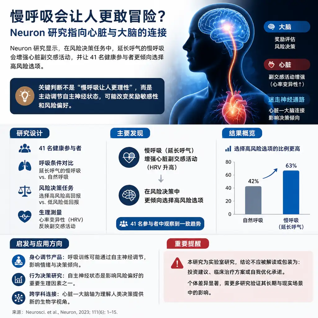 慢呼吸会让人更敢冒险?Neuron 研究指向心脏与大脑的连接